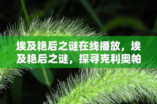 埃及艳后之谜在线播放，埃及艳后之谜，探寻克利奥帕特拉的历史真相