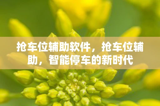 抢车位辅助软件，抢车位辅助，智能停车的新时代