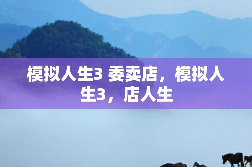 模拟人生3 委卖店，模拟人生3，店人生
