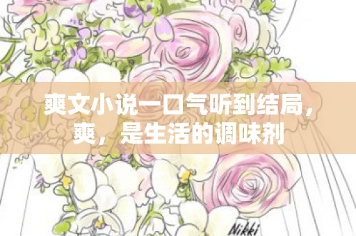 爽文小说一口气听到结局，爽，是生活的调味剂