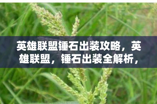 英雄联盟锤石出装攻略，英雄联盟，锤石出装全解析，助你成为最强辅助