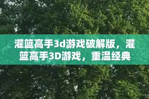 灌篮高手3d游戏破解版，灌篮高手3D游戏，重温经典，挑战极限