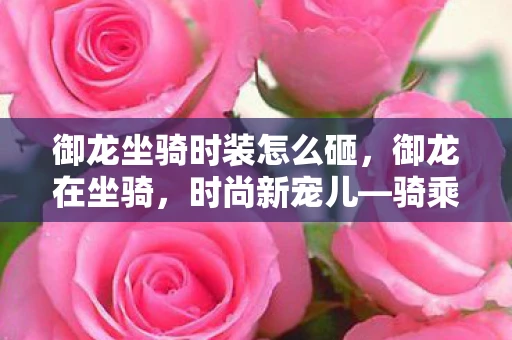 御龙坐骑时装怎么砸，御龙在坐骑，时尚新宠儿—骑乘时装大揭秘