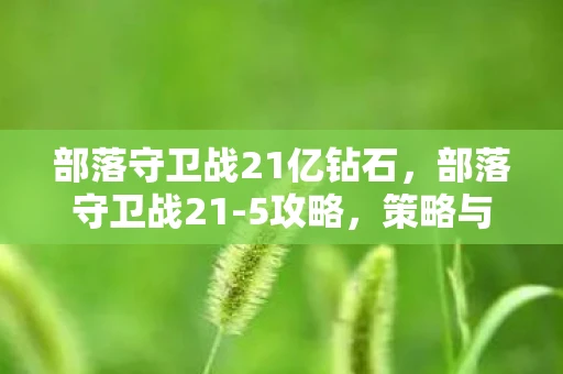 部落守卫战21亿钻石，部落守卫战21-5攻略，策略与技巧的完美结合