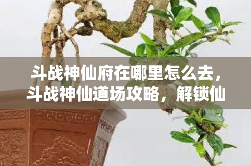 斗战神仙府在哪里怎么去，斗战神仙道场攻略，解锁仙界秘境，成就无上神通