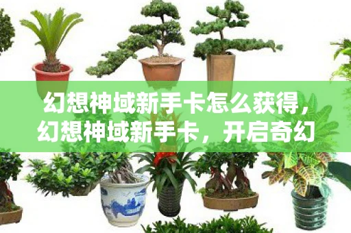 幻想神域新手卡怎么获得，幻想神域新手卡，开启奇幻冒险之旅