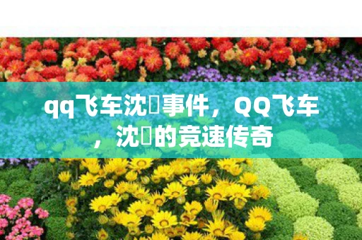 qq飞车沈珺事件，QQ飞车，沈珺的竞速传奇