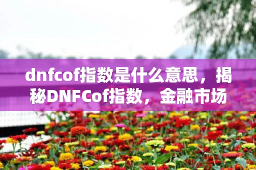 dnfcof指数是什么意思，揭秘DNFCof指数，金融市场的神秘风向标