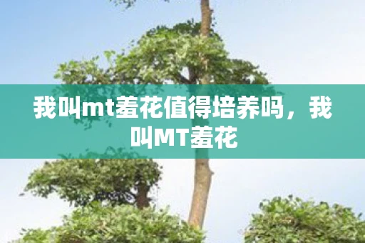 我叫mt羞花值得培养吗，我叫MT羞花