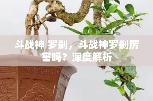 斗战神 罗刹，斗战神罗刹厉害吗？深度解析