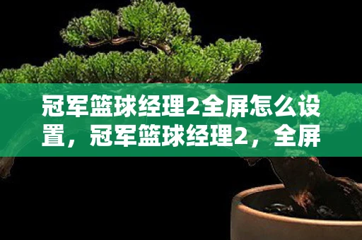 冠军篮球经理2全屏怎么设置，冠军篮球经理2，全屏掌控的篮球策略之旅