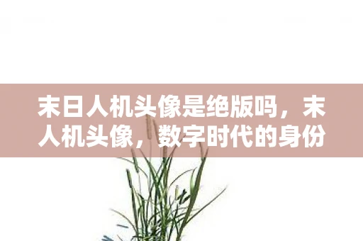 末日人机头像是绝版吗，末人机头像，数字时代的身份新标识