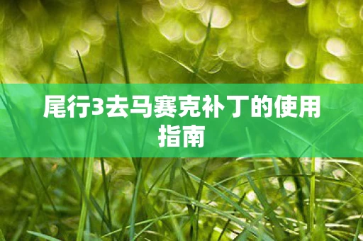 尾行3去马赛克补丁的使用指南图片