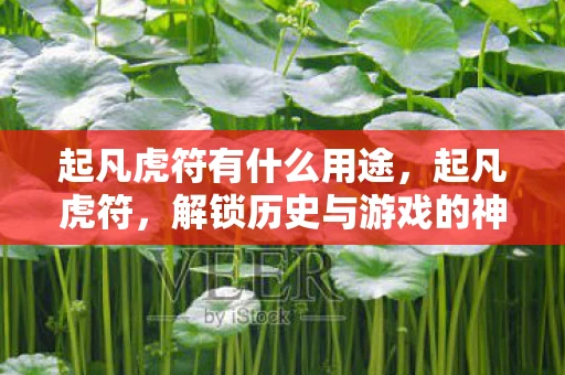 起凡虎符有什么用途，起凡虎符，解锁历史与游戏的神秘钥匙