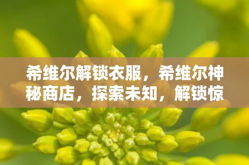 希维尔解锁衣服，希维尔神秘商店，探索未知，解锁惊喜