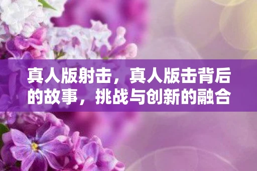 真人版射击，真人版击背后的故事，挑战与创新的融合