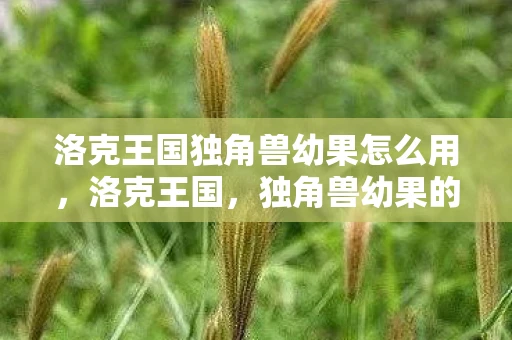 洛克王国独角兽幼果怎么用，洛克王国，独角兽幼果的神秘之旅