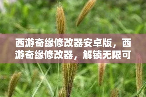 西游奇缘修改器安卓版，西游奇缘修改器，解锁无限可能的奇幻之旅