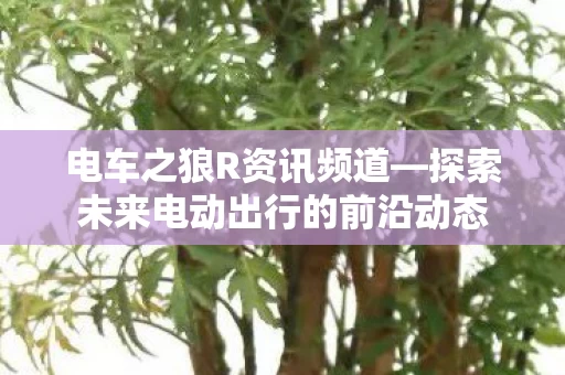 探索未来电动出行的前沿动态图片