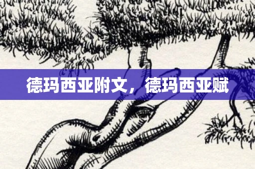 德玛西亚附文，德玛西亚赋