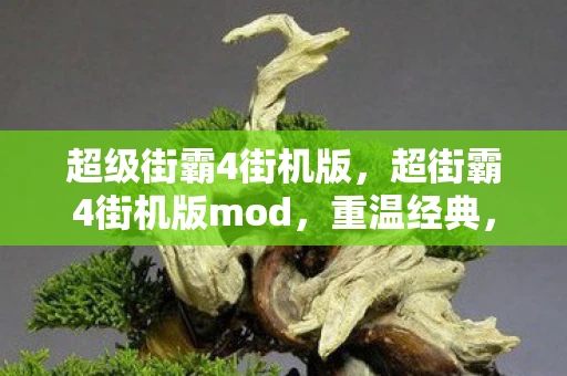 超级街霸4街机版，超街霸4街机版mod，重温经典，再燃热血