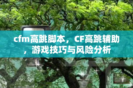 cfm高跳脚本，CF高跳辅助，游戏技巧与风险分析