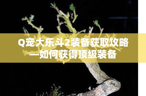 Q宠大乐斗2装备获取攻略图片