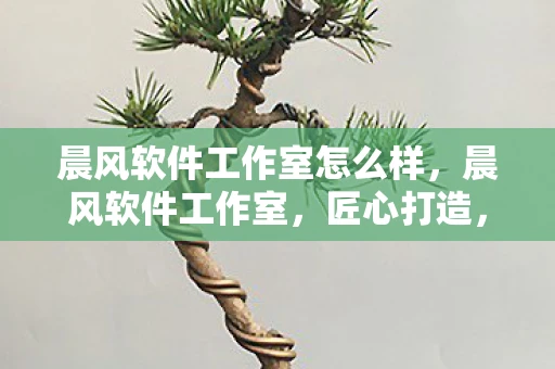 晨风软件工作室怎么样，晨风软件工作室，匠心打造，让技术为生活添彩