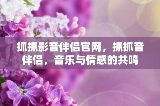 抓抓影音伴侣官网，抓抓音伴侣，音乐与情感的共鸣