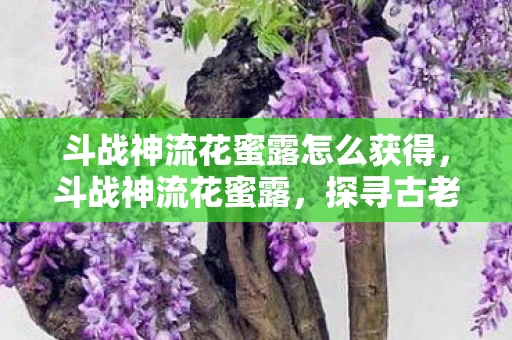 斗战神流花蜜露怎么获得，斗战神流花蜜露，探寻古老传说中的神秘甘露