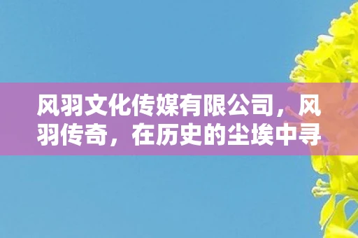 风羽文化传媒有限公司，风羽传奇，在历史的尘埃中寻找不朽的传奇