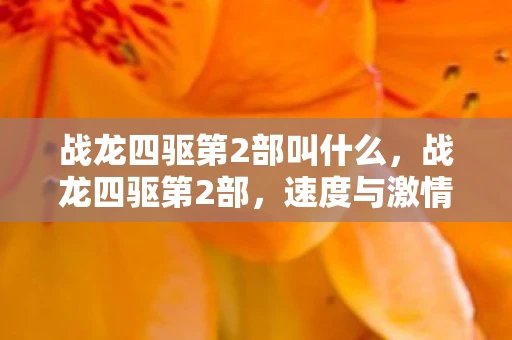 战龙四驱第2部叫什么，战龙四驱第2部，速度与激情的再次碰撞