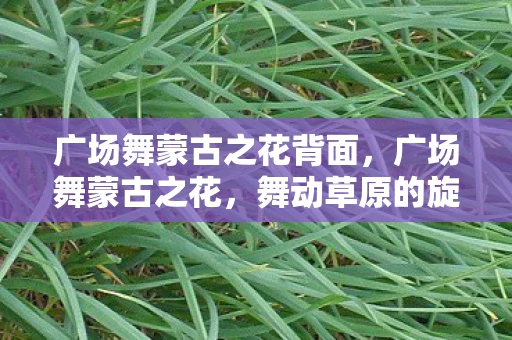 广场舞蒙古之花背面，广场舞蒙古之花，舞动草原的旋律