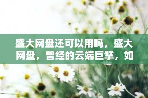 盛大网盘还可以用吗，盛大网盘，曾经的云端巨擘，如今何去何从？