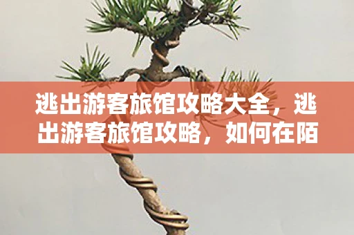 逃出游客旅馆攻略大全，逃出游客旅馆攻略，如何在陌生城市找到最佳住宿体验