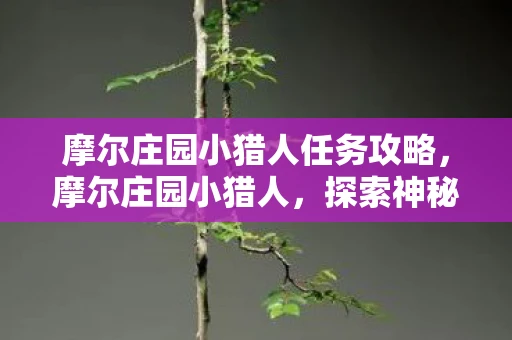 摩尔庄园小猎人任务攻略，摩尔庄园小猎人，探索神秘庄园的冒险之旅