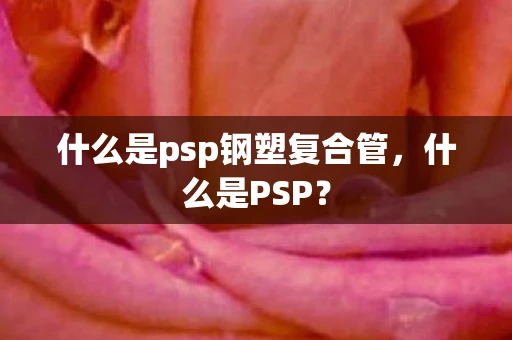 什么是psp钢塑复合管，什么是PSP？