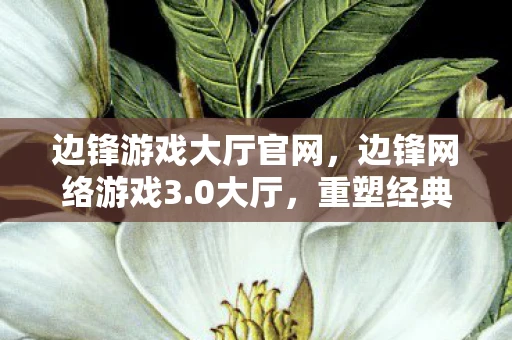 边锋游戏大厅官网，边锋网络游戏3.0大厅，重塑经典，引领未来