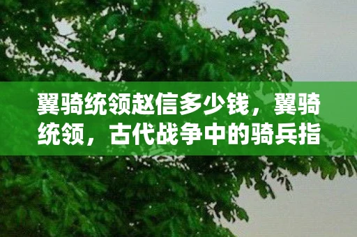 翼骑统领赵信多少钱，翼骑统领，古代战争中的骑兵指挥官