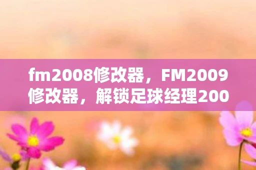 fm2008修改器，FM2009修改器，解锁足球经理2009的无限可能