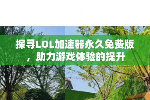 探寻LOL加速器永久免费版图片