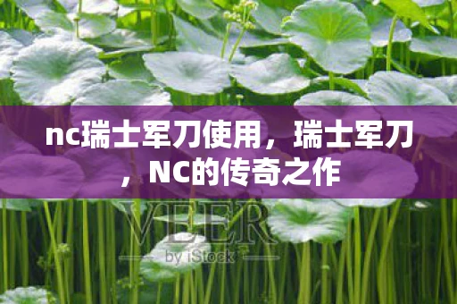 nc瑞士军刀使用，瑞士军刀，NC的传奇之作