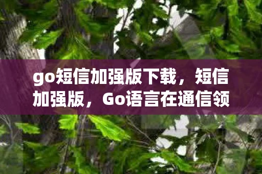 go短信加强版下载，短信加强版，Go语言在通信领域的创新应用