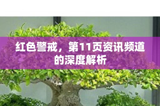 第11页资讯频道的深度解析图片