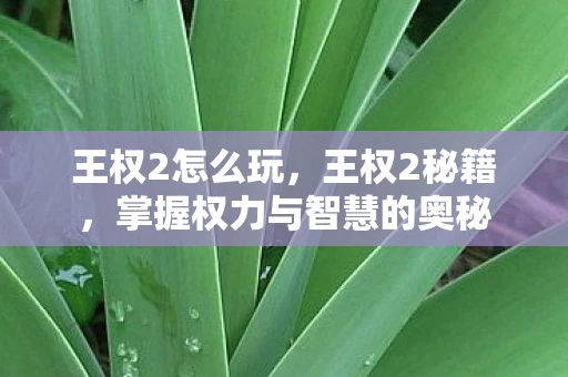 王权2怎么玩，王权2秘籍，掌握权力与智慧的奥秘