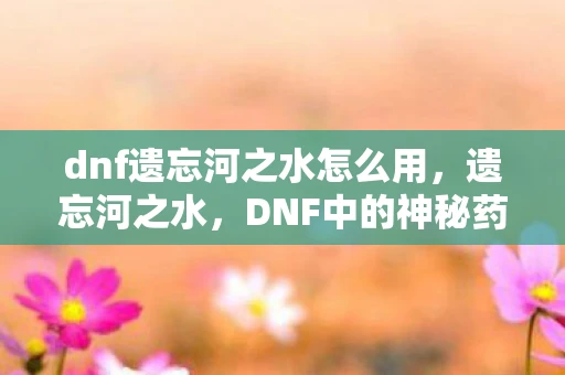 dnf遗忘河之水怎么用，遗忘河之水，DNF中的神秘药水，带你穿越遗忘的时空