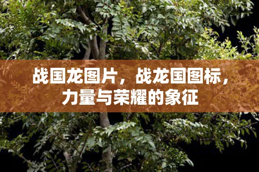 战国龙图片，战龙国图标，力量与荣耀的象征