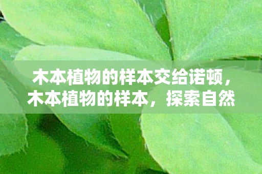 木本植物的样本交给诺顿，木本植物的样本，探索自然之美的奥秘