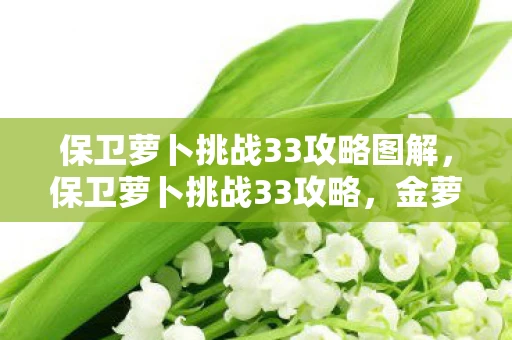 保卫萝卜挑战33攻略图解，保卫萝卜挑战33攻略，金萝卜布阵图详解