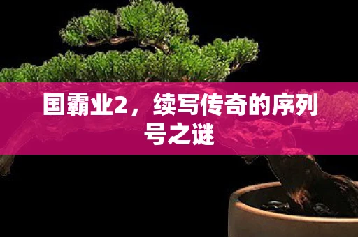 国霸业2，续写传奇的序列号之谜